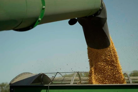 [Video] Nơi dễ tổn thương của Mỹ trong cuộc chiến thuế quan với Trung Quốc