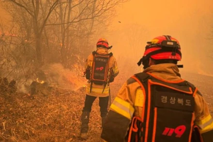 [Video] Hàn Quốc ban bố tình trạng thảm họa quốc gia do cháy rừng