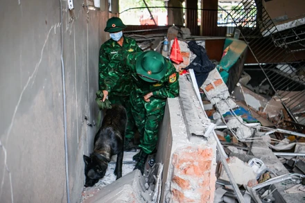 [Video] Đội chó nghiệp vụ của Việt Nam tìm kiếm nạn nhân động đất tại Myanmar