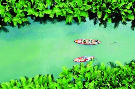 Rừng dừa nước Cà Ninh - Điểm đến lý tưởng cho du khách tham quan, trải nghiệm.