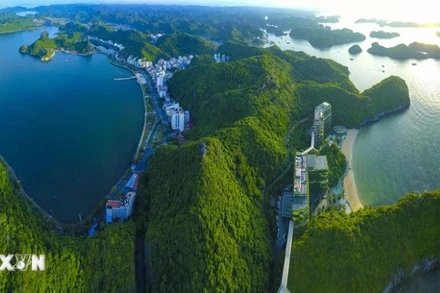 Ảnh minh họa. (TTXVN)