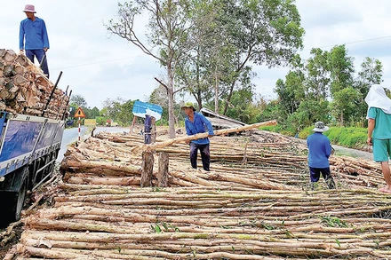 Chợ tràm U Minh Hạ.