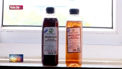 Cảnh báo thuốc đông y giả trôi nổi bán trên mạng xã hội