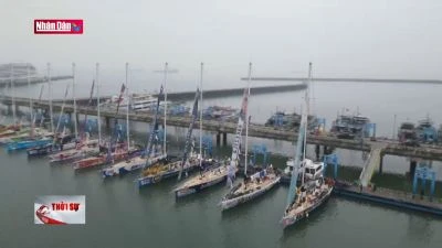 Đoàn đua thuyền Clipper Race trình diễn tại Vịnh Hạ Long