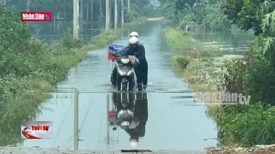 Người dân Quốc Oai chật vật vì nước lũ