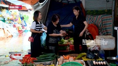 Hà Nội: Thực phẩm dồi dào, rau xanh tăng giá