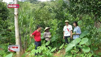 Phụ nữ vùng cao lan tỏa yêu thương và kỳ vọng