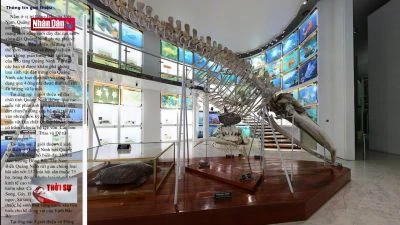 Đẩy mạnh ứng dụng công nghệ trong quảng bá du lịch