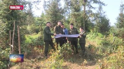 Khó khăn trong công tác chi trả dịch vụ môi trường rừng