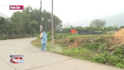 Tăng cường các biện pháp phòng, chống bệnh dại