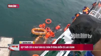 Kịp thời cứu 8 ngư dân bị chìm ở vùng biển Cù Lao Chàm