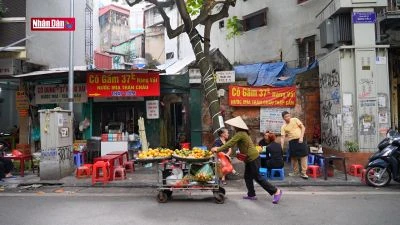 Phát huy giá trị văn hóa phố cổ trong tái thiết đô thị