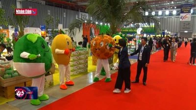 Hội chợ hàng Việt Nam tiêu biểu xuất khẩu năm 2024