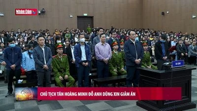 Chủ tịch Tân Hoàng Minh Đỗ Anh Dũng xin giảm án