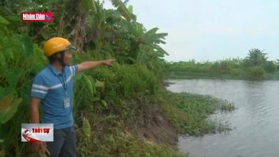 Hải Dương: Bảo vệ những điểm xung yếu bờ kênh Bắc Hưng Hải