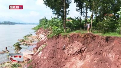 Phú Thọ xử lý khẩn cấp sự cố sạt lở bờ sông Đà tại xã Dân Quyền