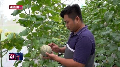 Lan tỏa tinh thần vượt khó, vươn lên làm giàu