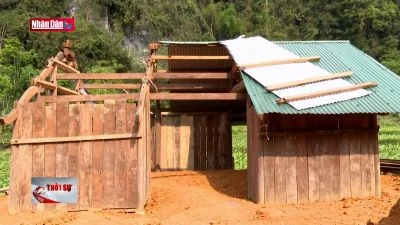 117 ngôi nhà bị tốc mái do giông lốc tại Tuyên Quang