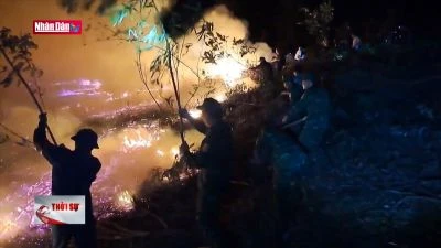 Khống chế đám cháy rừng tràm tại Thừa Thiên Huế