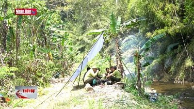 Bảo vệ và phát triển rừng Pù Mát