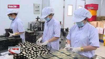 Doanh nghiệp dồi dào đơn hàng xuất khẩu