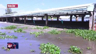 Miền Bắc còn nhiều đợt rét trong tháng 3