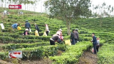 Luân chuyển cán bộ, tạo đột phá cho các xã nghèo