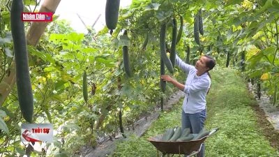 Ứng dụng khoa học kỹ thuật vào sản xuất nông nghiệp