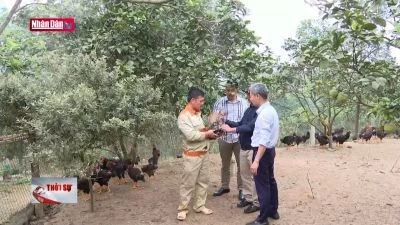 Hiệu quả nguồn vốn quỹ hỗ trợ nông dân