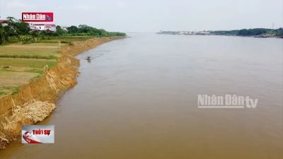 Bờ sông Lô sạt lở nghiêm trọng