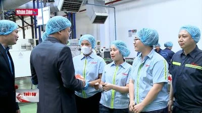 Thị trường lao động khởi sắc ngay từ đầu xuân