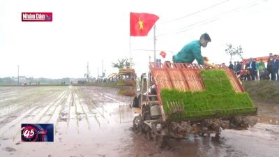Đẩy mạnh đưa cơ giới hóa trong khâu gieo cấy lúa