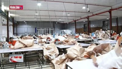 Số doanh nghiệp xuất khẩu triệu USD qua thương mại điện tử tăng mạnh