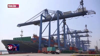 TP Hồ Chí Minh: Làm rõ thông tin thiếu hụt hàng hóa tại cảng Cát Lái
