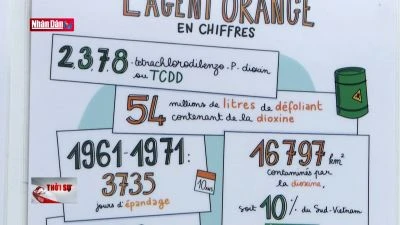 Chuẩn bị cho phiên tòa phúc thẩm vụ kiện chất độc da cam của bà Trần Tố Nga