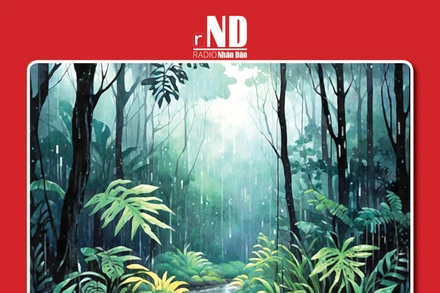 Truyện ngắn: Mưa cuối mùa