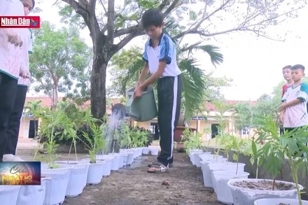 Phong trào Kế hoạch nhỏ, ý nghĩa lớn dịp Tết đến xuân về