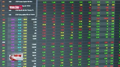 Lần đầu tiên Việt Nam có 8 triệu tài khoản chứng khoán