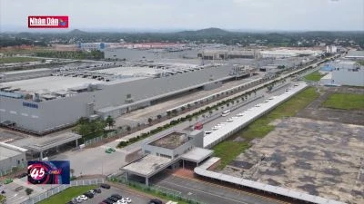 Nắm bắt cơ hội khi thực thi Thuế tối thiểu toàn cầu