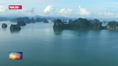 Quảng Ninh đưa Sách Trắng về khu vực vịnh Hạ Long vào giảng dạy