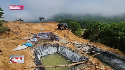 Quảng Nam chấn chỉnh tình trạng khai thác vàng trái phép