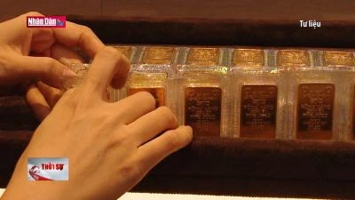Giá vàng trong nước đã bắt đầu bình ổn