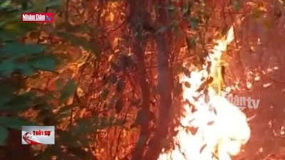 Quảng Bình: Nỗ lực khống chế vụ cháy rừng tại xã Quảng Đông