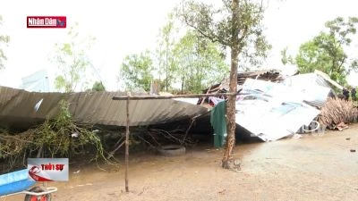 Cà Mau: Nhiều hộ dân bị ảnh hưởng do thiên tai