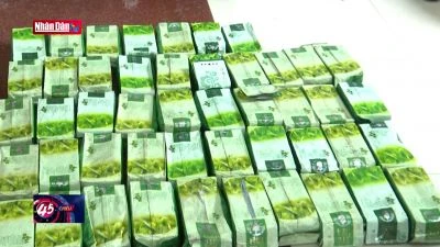 Triệt phá đường dây vận chuyển ma túy từ Lào về Việt Nam