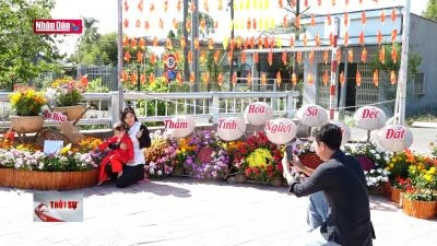 Ấn tượng Festival Hoa Kiểng Sa Đéc