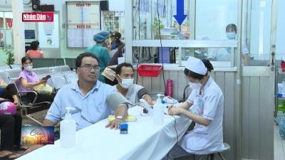 Đề phòng vật nuôi gây bệnh chết người mùa nắng nóng