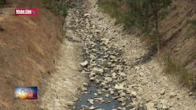 Thông tin đời sống, xã hội sáng ngày 6-5-2024