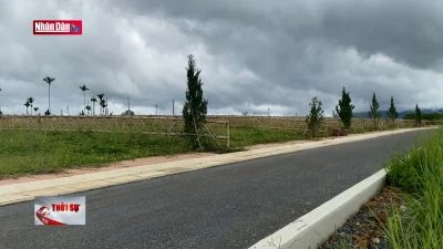 Lâm Đồng rà soát các dự án phân lô bán nền tại Đà Lạt và Bảo Lộc