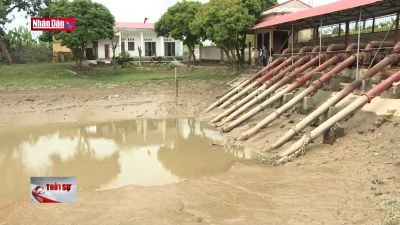 Tăng cường ứng phó xâm nhập mặn